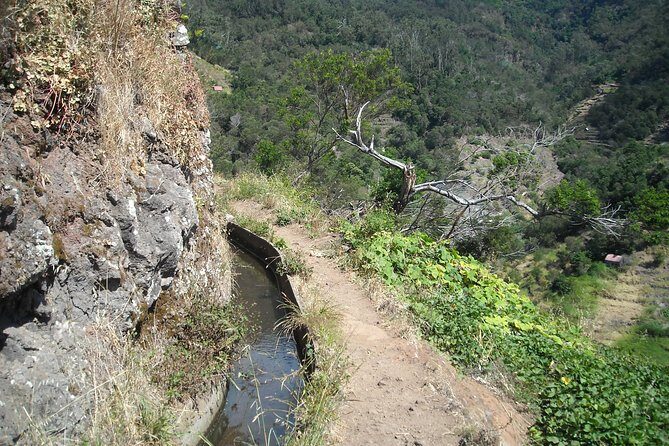 Maroços - Vale das Mimosas (Half Day Walk) - Why This Tour Offers Real Value