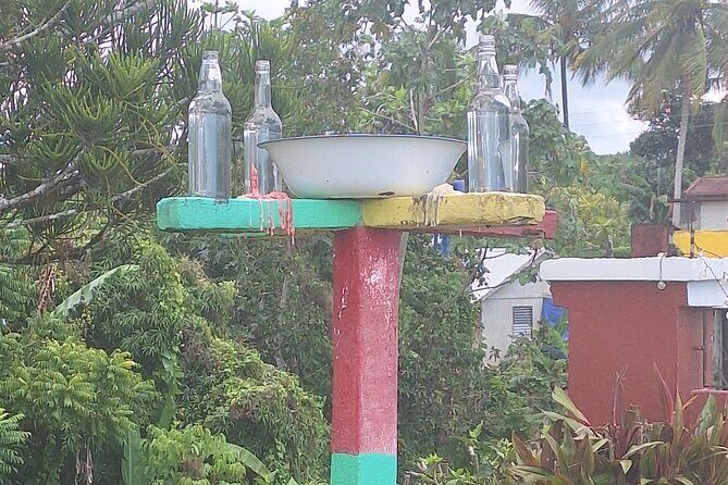 Maroon and Waterfall Adventure from Treasure Beach Jamaica - An In-Depth Look at the Maroon and Waterfall Adventure