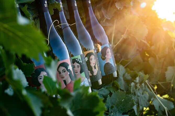 Marsala Tasting of 5 Sicilian organic wines - A Close-Up Look at the Marsala Tasting of 5 Sicilian Organic Wines