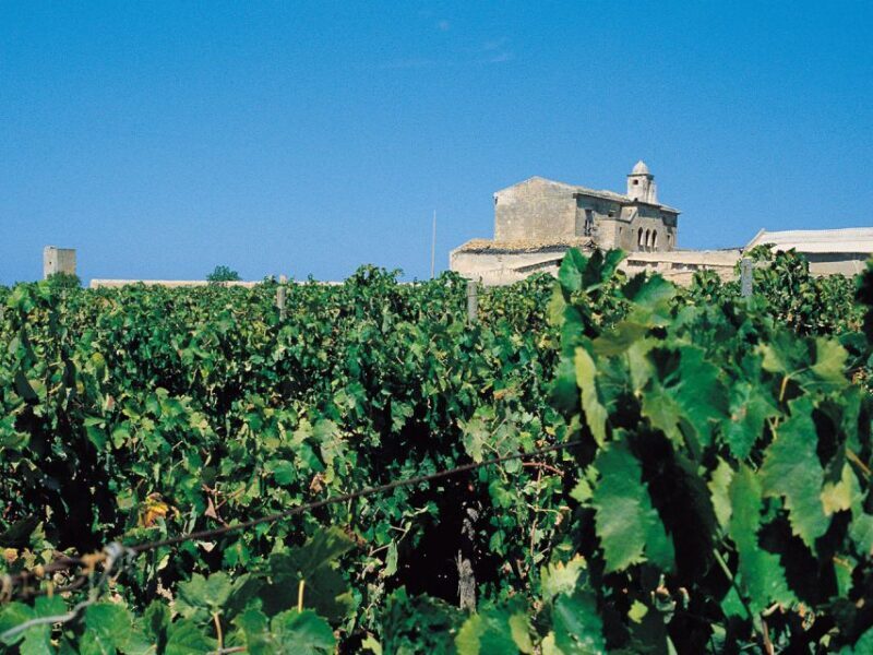 Marsala: Winery Tour with Wine Tasting and Local Products - What to Expect During the Tour
