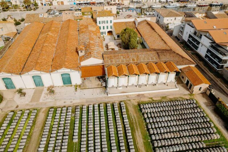 Marseillan: La Maison Noilly Prat Premium Tour - Detailed Insights: Why This Tour Stands Out