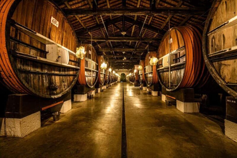 Marseillan: La Maison Noilly Prat Tour - Key Points