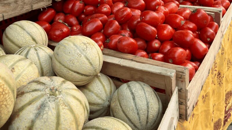 Marseille and Aix-en-Provence: culture, history and art of living - Who Will Love This Tour?
