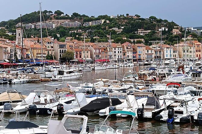 Marseille and Cassis Private Full-Day Tour - Discovering Marseille and Cassis: What to Expect from the Tour