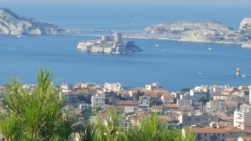 Marseille City Tour Half-Day - Introduction to Marseille’s Charm