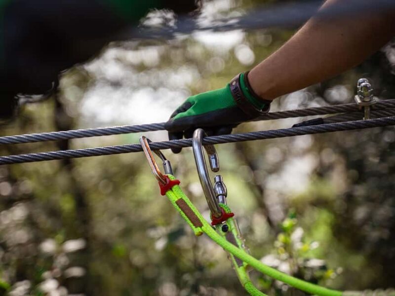 Marseille: Ecopark Adventures Treetop Adventure - What to Expect: A Day of Tree Climbing and Scenic Views