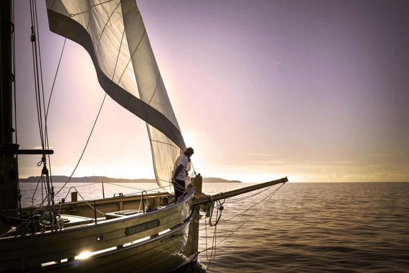 Marseille: Evening sailboat trip to the Calanques du Frioul with buffet and organic wine - Key Points