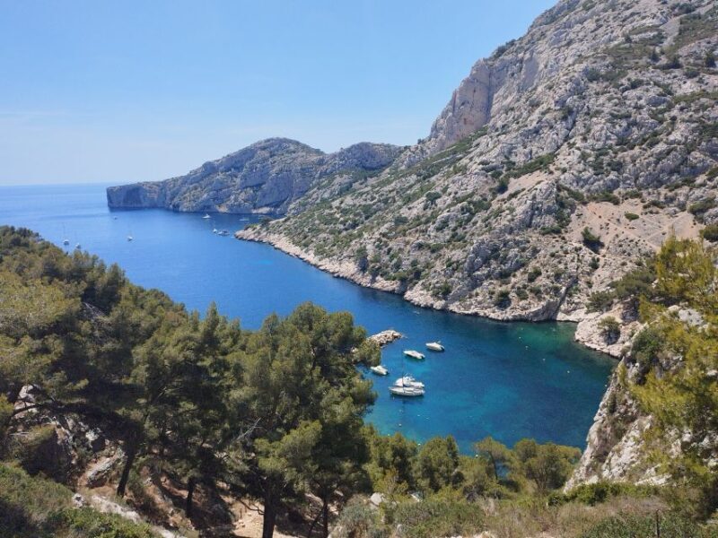 Marseille: Guided Hiking Calanques National Park from Luminy - An Authentic Taste of Nature in Marseille
