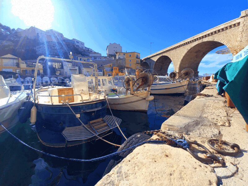 Marseille: Half-Day City Highlights Guided Walking Tour - A Deep Dive into the Marseille Experience