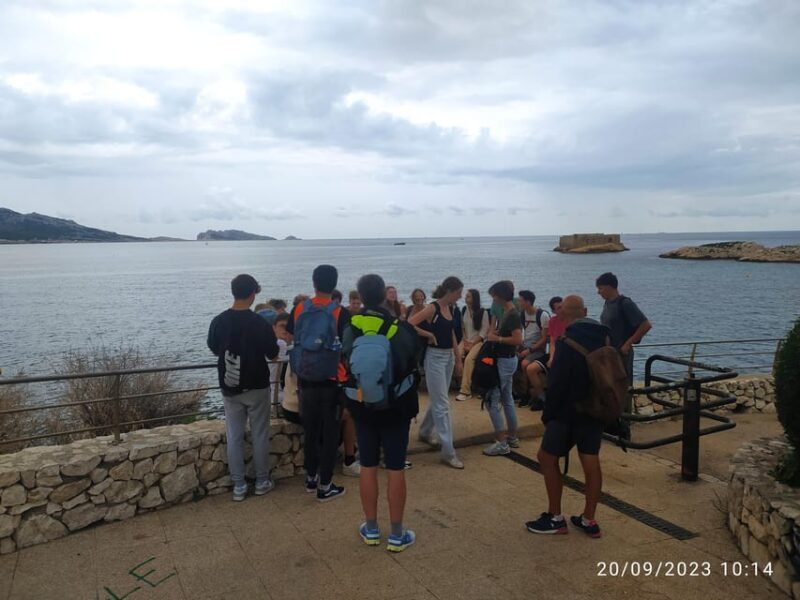 Marseille: Highlights walking tour - Authentic Feedback from Participants