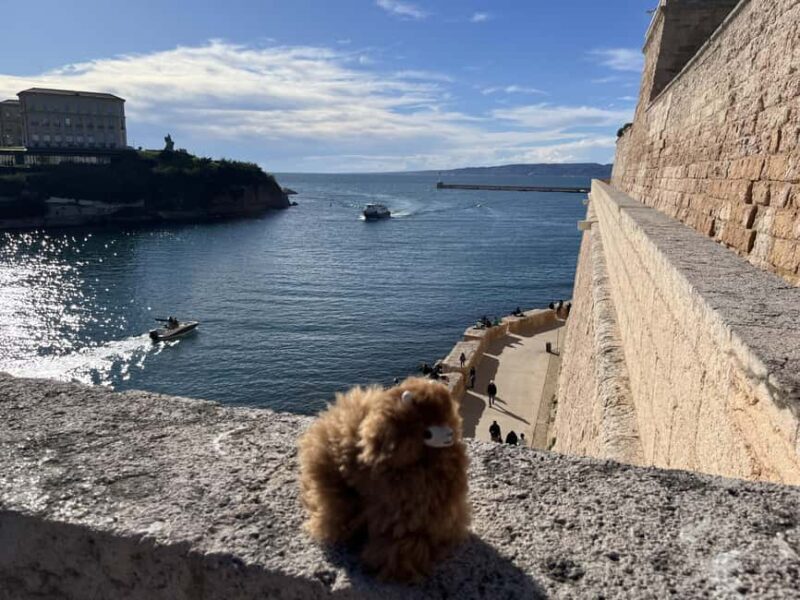 Marseille: Private Customised Walking 2-Hour Tour - Exploring Marseille: A Private 2-Hour Customised Walking Tour