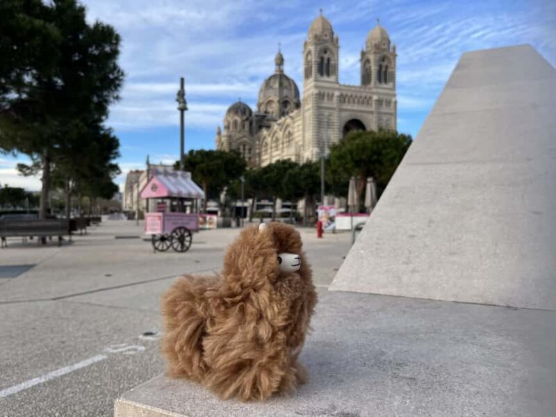 Marseille: Private Customised Walking 2-Hour Tour - What’s Included & What’s Not