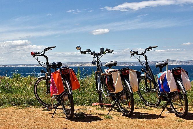 Marseille Shore Excursion Private EBike Tour to the Calanques - Key Points