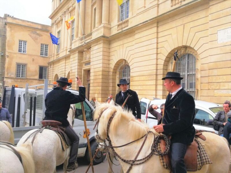Marseille: The Camargue 8-Hour Guided Outing - An In-Depth Look at the Camargue Tour Experience
