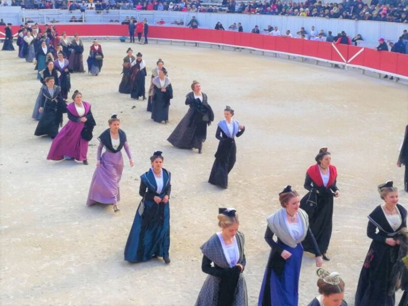 Marseille: The Camargue 8-Hour Guided Outing - Who Should Consider This Tour?