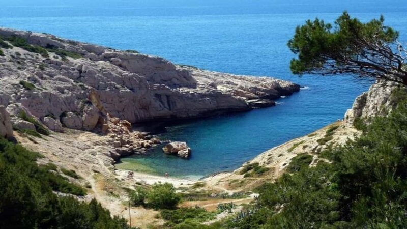 Marseille : Vieux-Port & Panier Walking Tour - Discover Marseille: The Vieux-Port & Panier Walking Tour