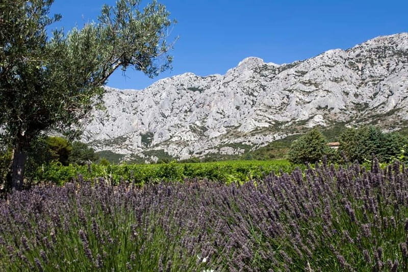 Marseille Vieux Port & Wine Tasting - Private Tour - Final Thoughts