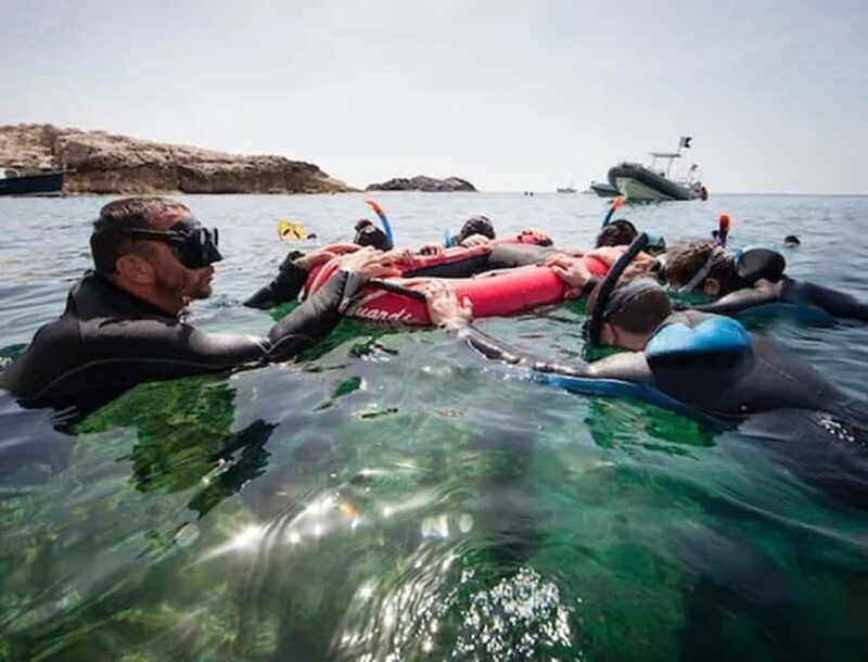 Marseille: visit the National Park on a snorkeling trip - Key Points