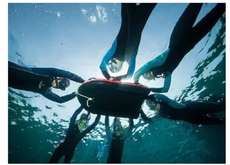 Marseille: visit the National Park on a snorkeling trip - The Snorkeling Adventure: Discovering Underwater Beauty
