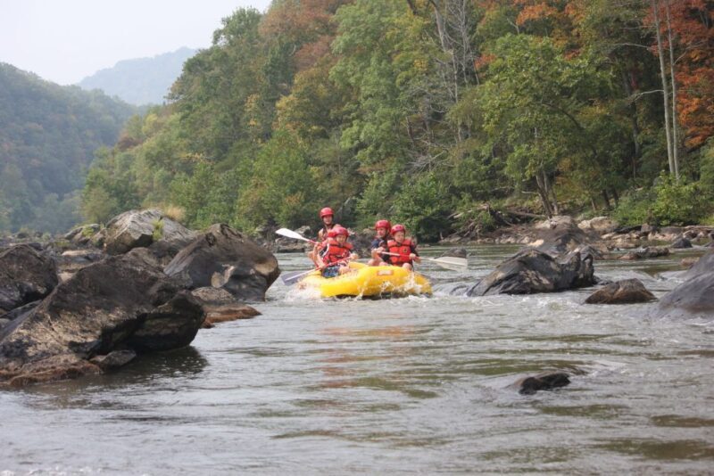 Marshall: French Broad Whitewater River Rafting Experience - An In-Depth Look at the French Broad River Rafting Experience