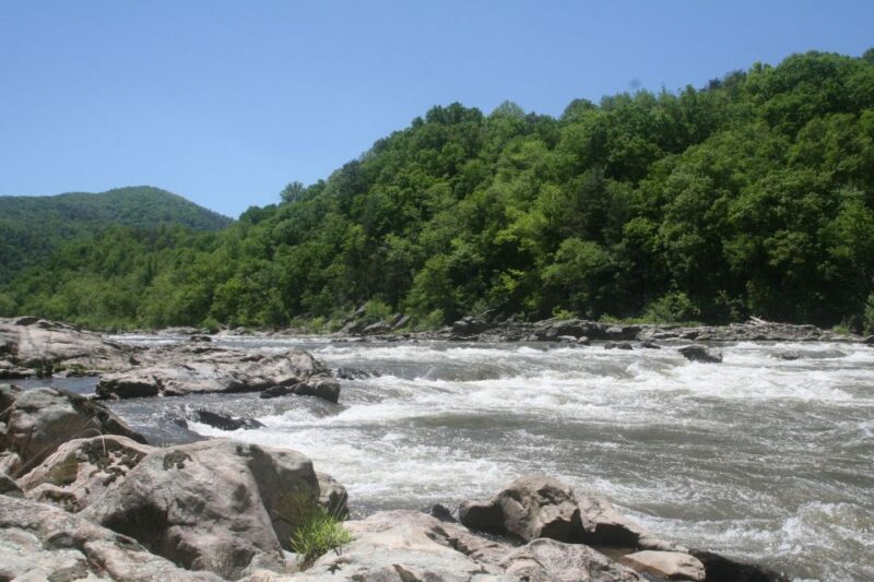 Marshall: French Broad Whitewater River Rafting Experience - Authentic Traveler Feedback