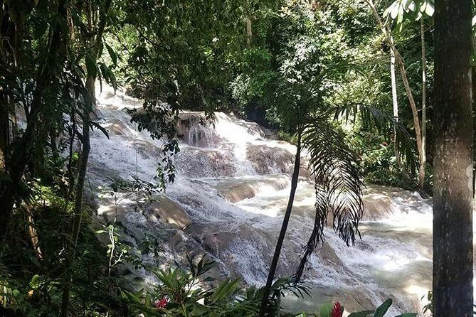 Martha Brae and Dunns River Falls Day Tour - Who Is This Tour Best For?