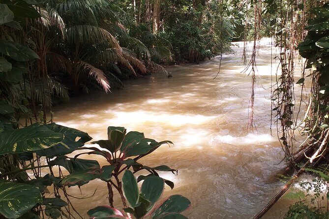 Martha Brae Bamboo Rafting plus Blue Hole and Secrets Fall Private Tour - What’s Included and What to Expect