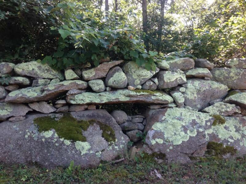 Martha's Vineyard: 6 Town Island Group Tour - Key Points