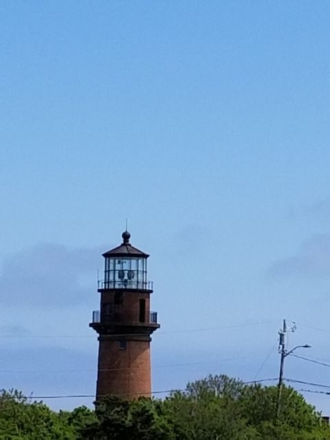 Martha's Vineyard: All Island Tour - Transportation and Practical Details