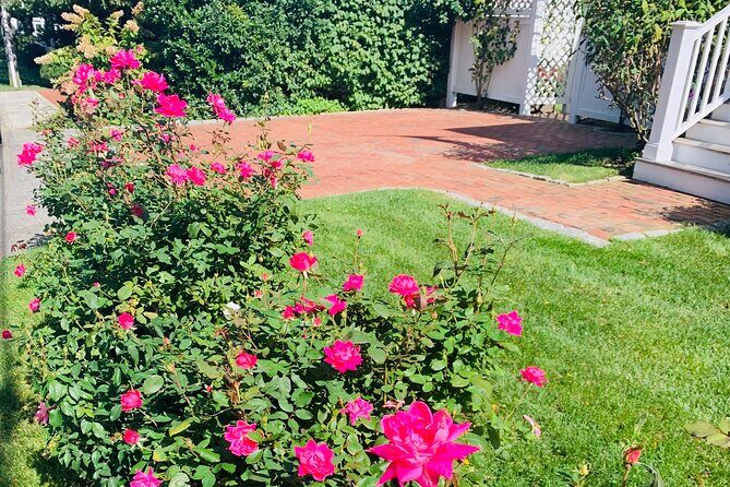 Marthas Vineyard Luxury Tour (2hrs) - Exploring the Martha’s Vineyard Private Tour in Detail