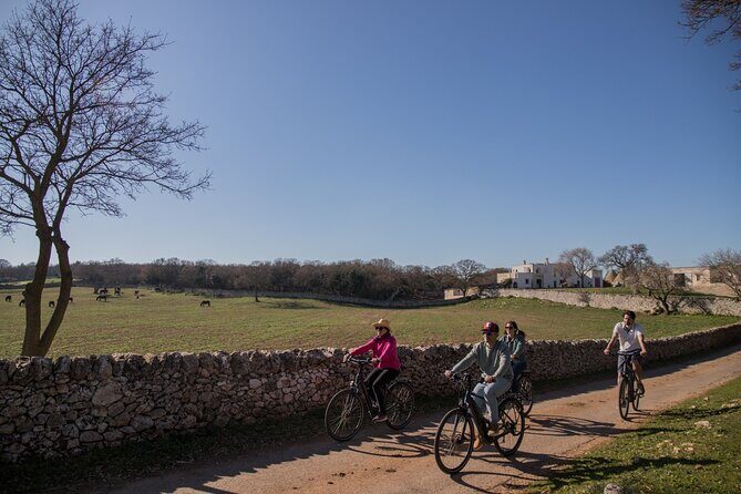 Martina Franca e-Bike tour . Visit a breeding and a dairy farm - Key Points