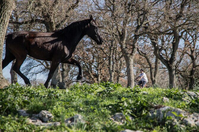 Martina Franca e-Bike tour . Visit a breeding and a dairy farm - FAQ