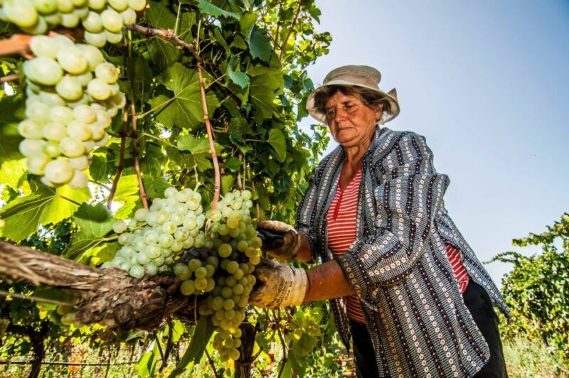 Martina Franca: Wine & Local Products Tasting - FAQs