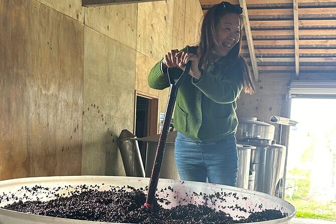 Martinborough Private Food and Wine Tour in Tesla SUV - Who Will Love This Tour?