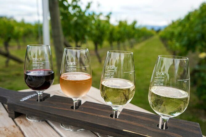 Martinborough Region Day Trip including beverage sampling - Key Points