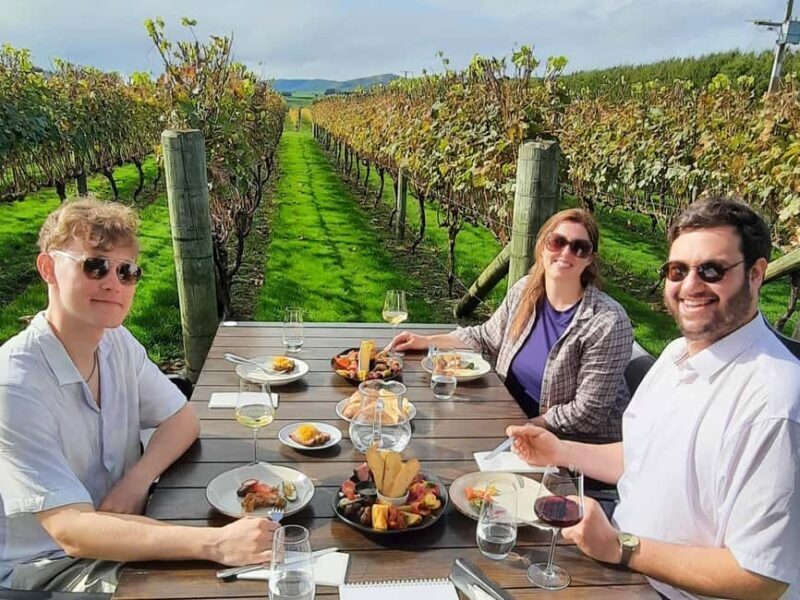 Martinborough Wine and Food Tour with Lunch from Wellington - The Sum Up