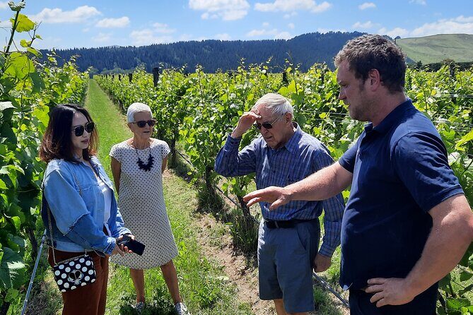Martinborough Winery and Foodie Day Tour with vineyard lunch - An Authentic Day Exploring Wairarapa’s Food and Wine Scene
