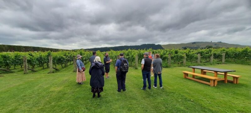 Martinborough Winery and South Wairarapa Wild Coast Tour - An In-Depth Look at the Tour