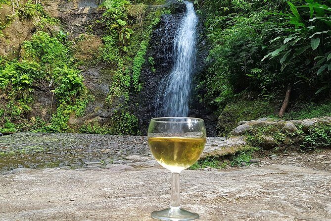Martinique flavors in the rainforest and St Pierre - Pile et Face - Key Points