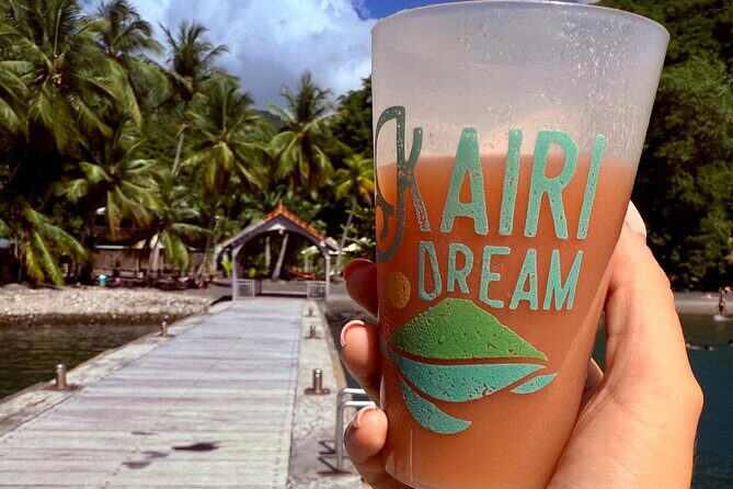 Martinique : Observation des dauphins et snorkeling - Exploring Martinique’s Marine Life: The Experience in Detail