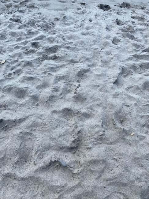 Martinique: Private Tour with Local Guide - Key Points