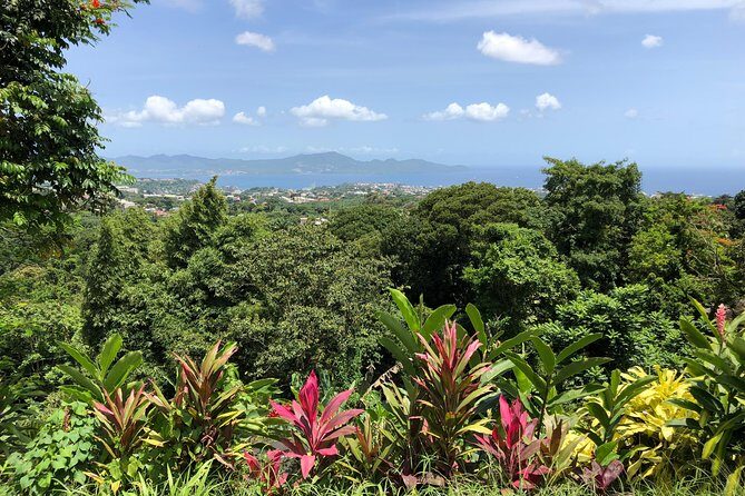 Martinique Shore Excursion - Unmissable Martinique North tour - Who Is This Tour Best For?