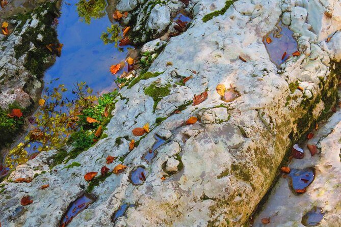 Martvili Canyon and Hanged Bridges of Okatse - Authentic Experiences and Practical Tips