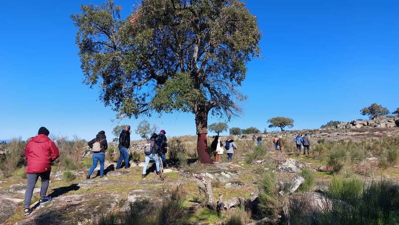 Marvão: Megalithic Monuments Private Tour with Hotel Pickup - In-Depth Breakdown of the Tour