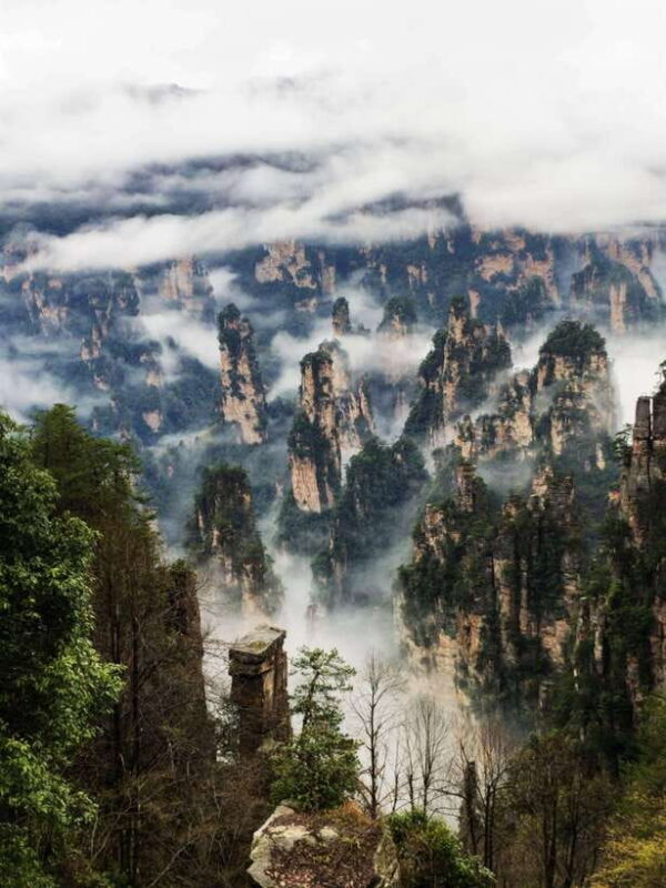 Marvelous Zhangjiajie Day Tour With National Forest Park - Final Thoughts
