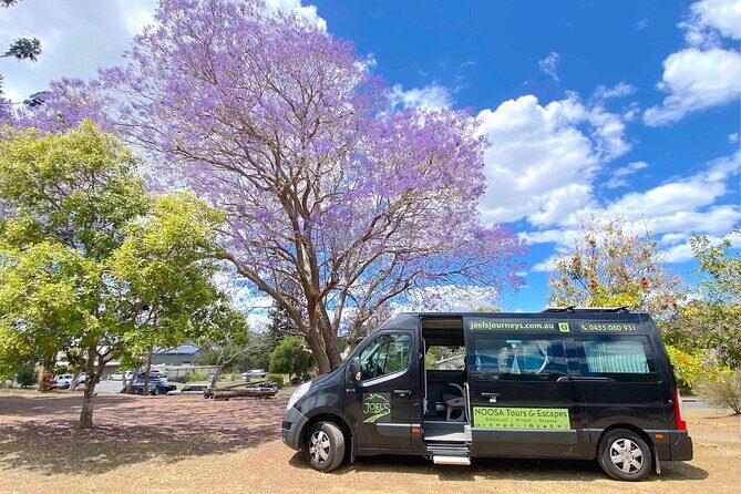 Mary Valley Tour with Mary Valley Rattler, Lunch and Kenilworth - Key Points