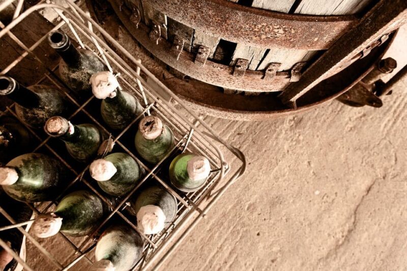 Marzamemi: Dioniso Wine Tour, Tasting & Typical Dishes - A Deep Dive into the Dioniso Wine Tour Experience