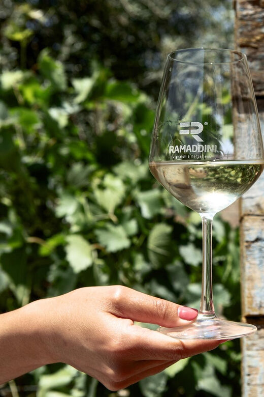 Marzamemi: FR Lovers Wine Tasting & Tour at Ramaddini - The Experience in Detail