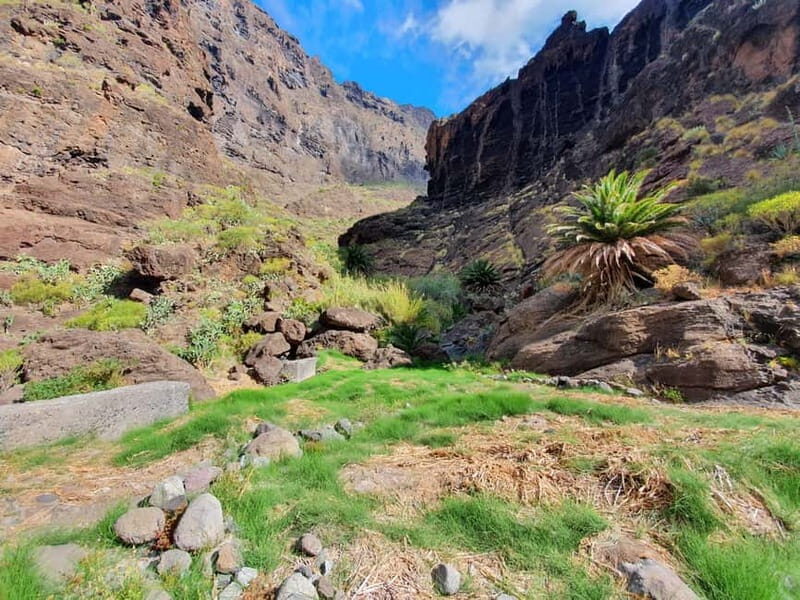 Masca Gorge Guided Hike + Boat Ride + Transport - Key Points