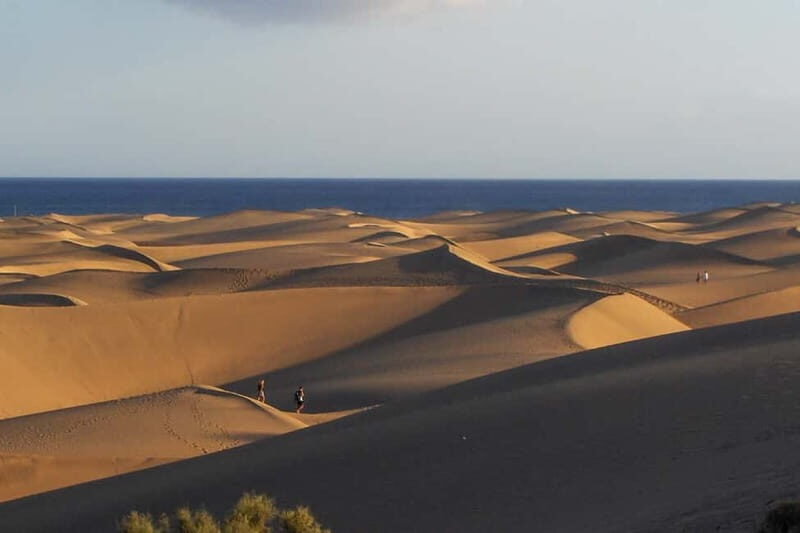 Maspalomas: 1 Hour Segway Sightseeing Tour - A Detailed Look at the Maspalomas Segway Tour
